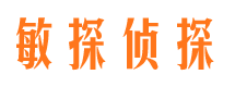 海盐市调查公司